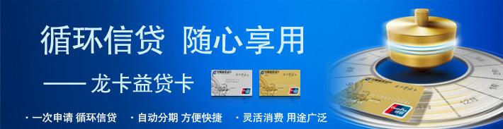 龙卡益贷卡
