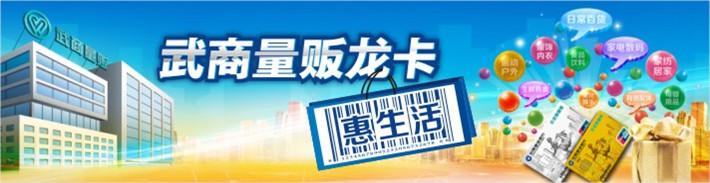 武商量贩龙卡IC信用卡（湖北除宜昌地区）